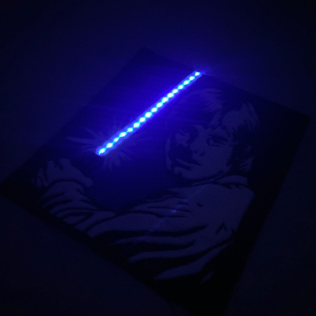 Skywalker L.E.D.rug